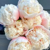 thumb_1544_600_600_0_0_crop — копия